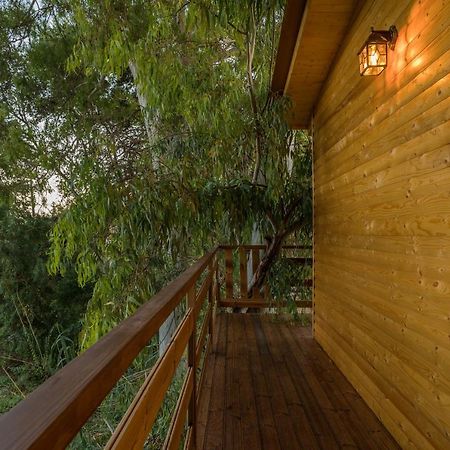 River Treehouse لاغاناس المظهر الخارجي الصورة
