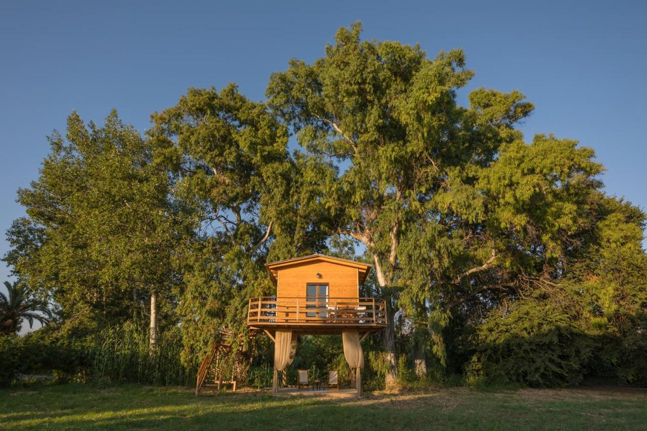 River Treehouse لاغاناس المظهر الخارجي الصورة