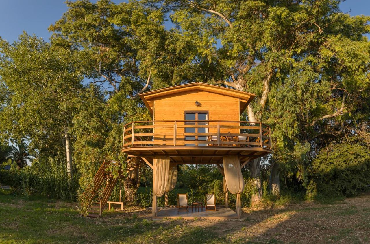 River Treehouse لاغاناس المظهر الخارجي الصورة